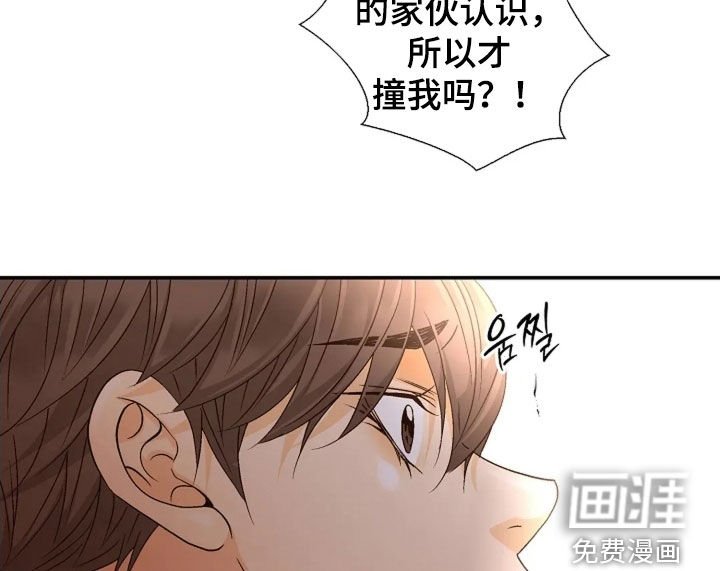 第51章：不会听错了吧