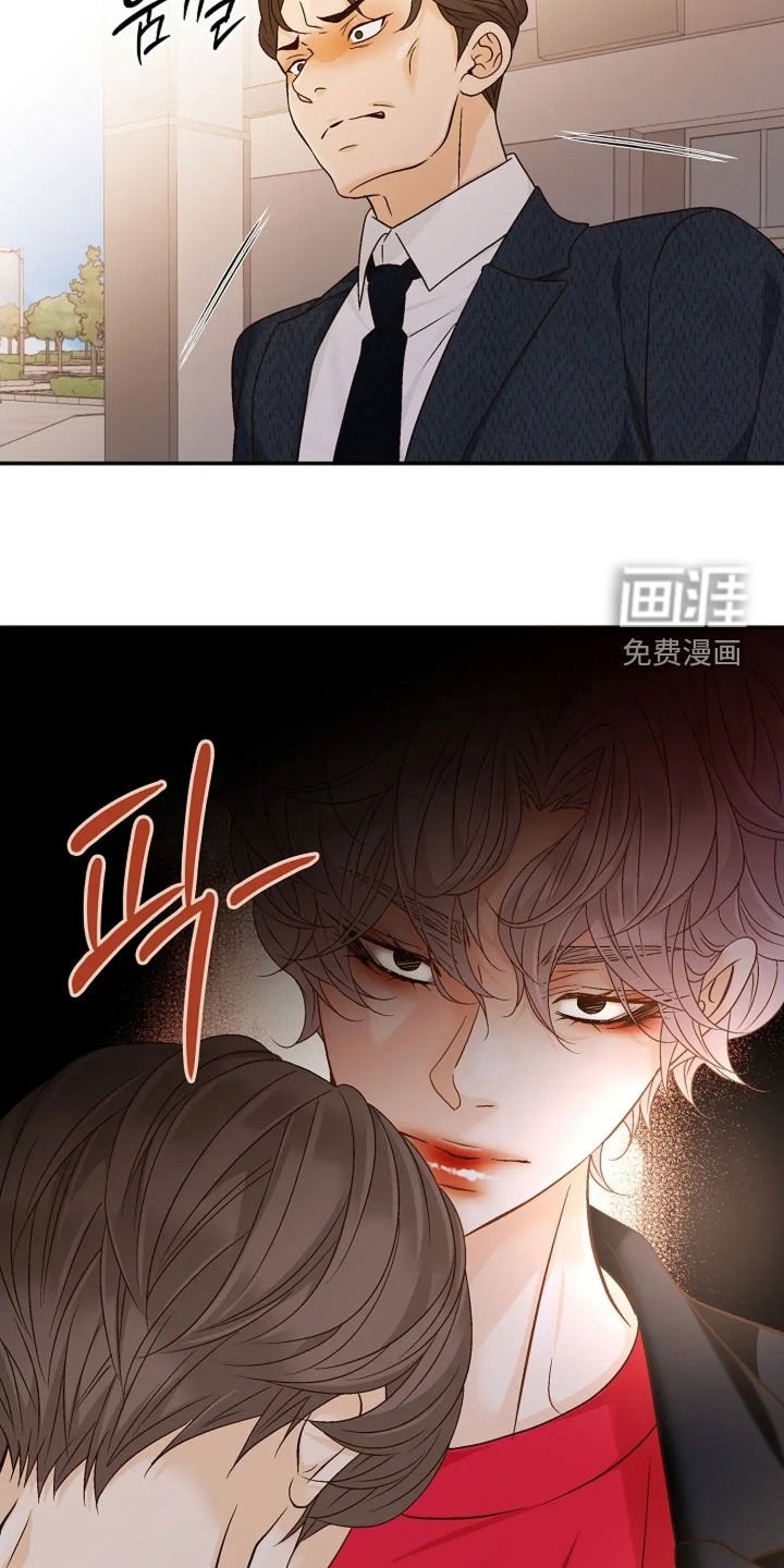 第52章：无法理解