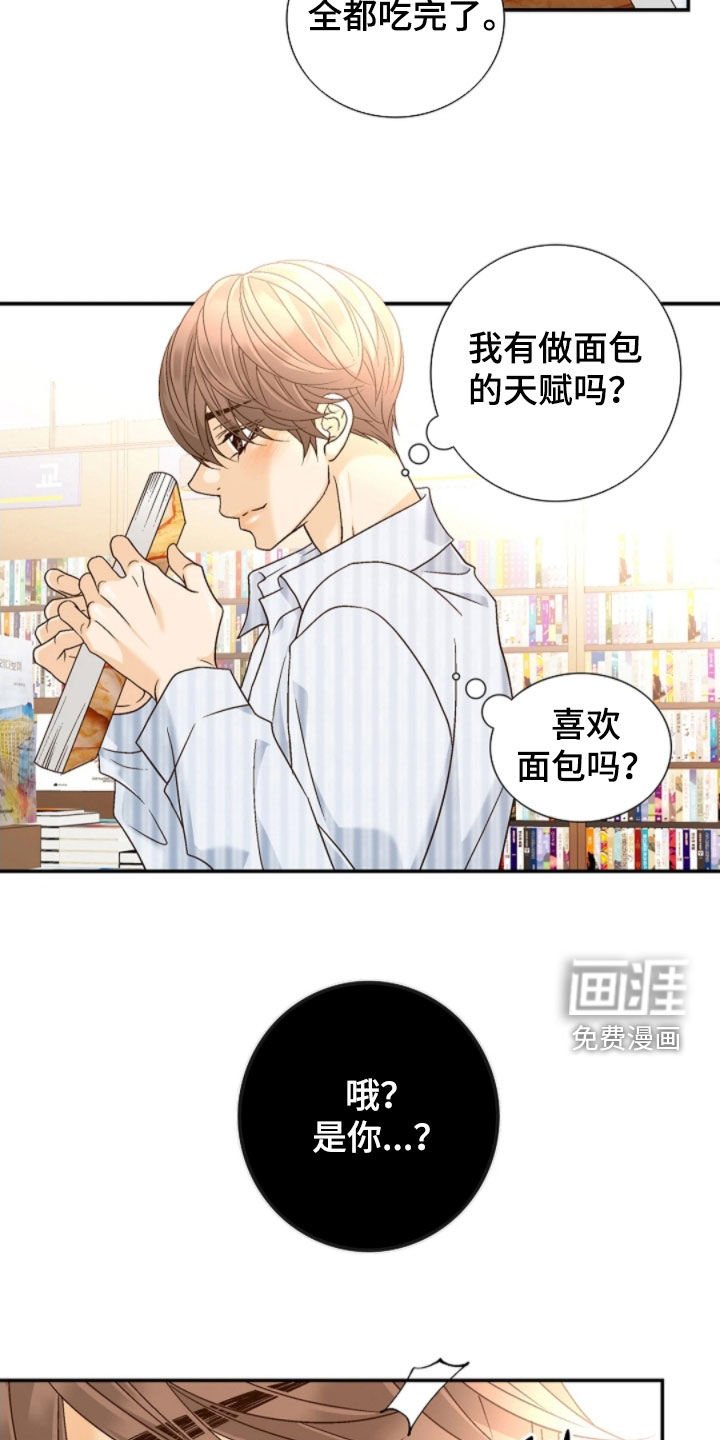 第61章：偶遇