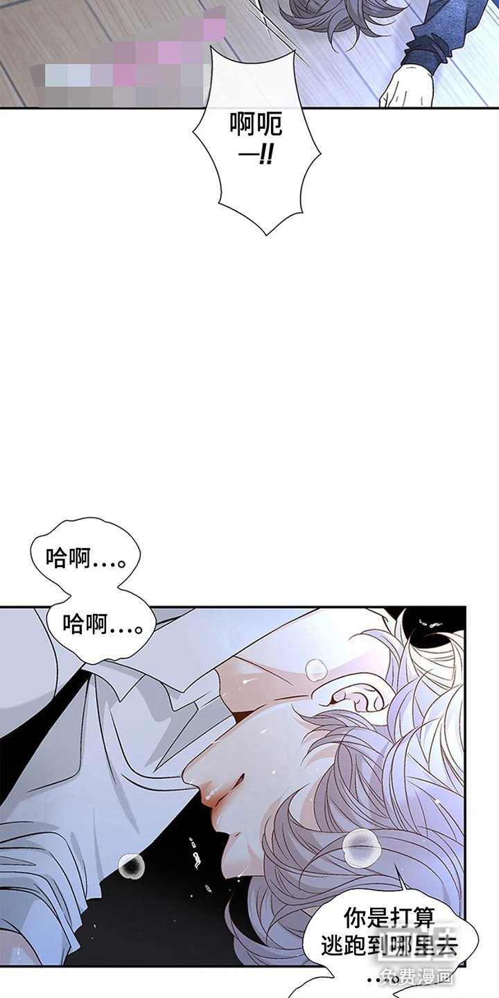 第7章：发病