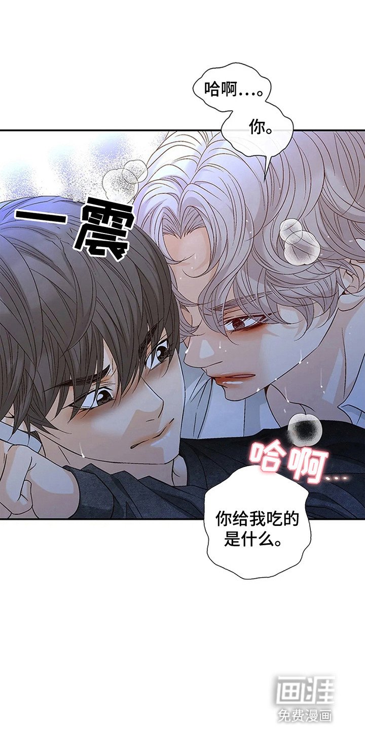 第8章：对不起了