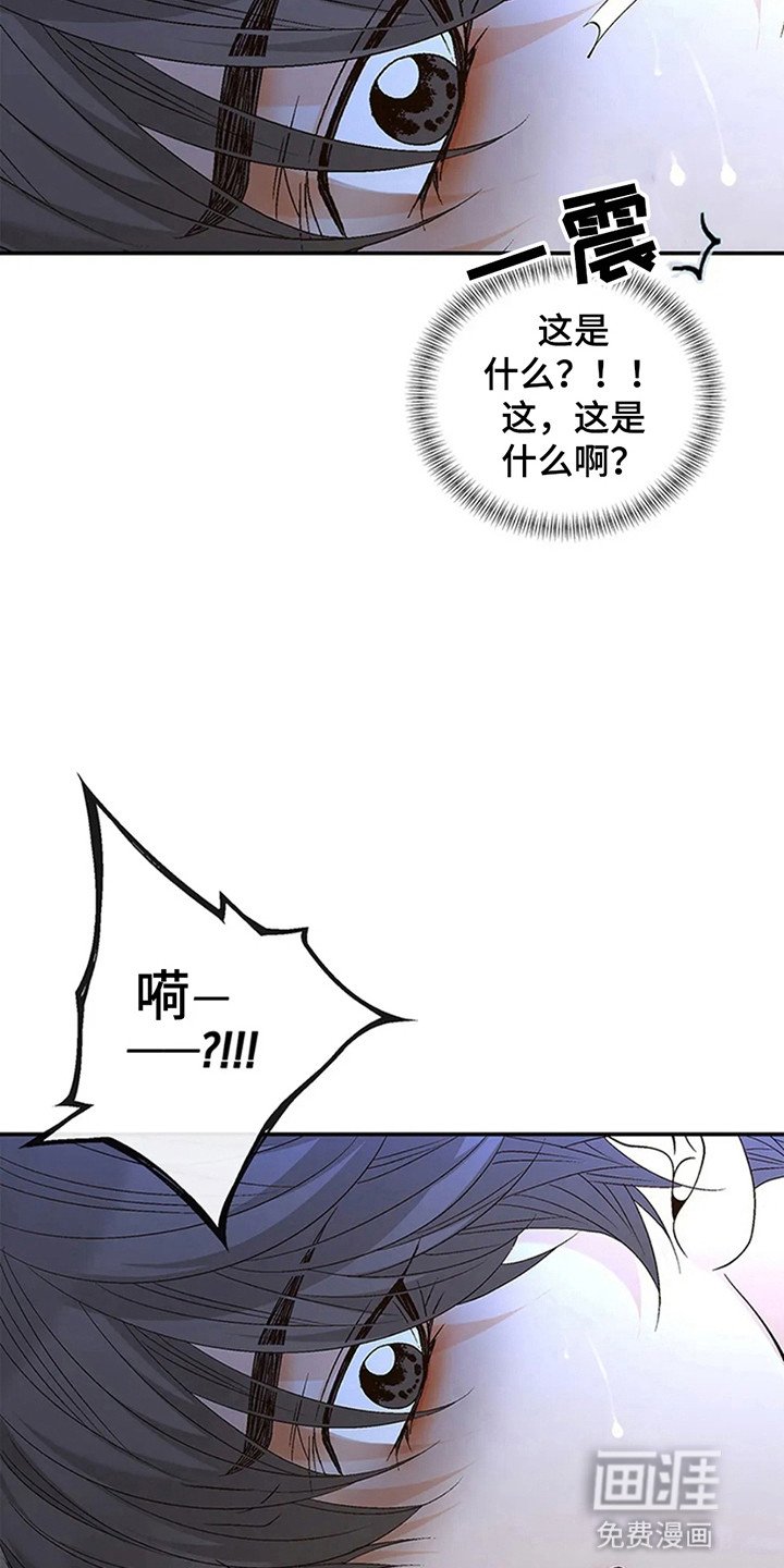 第8章：对不起了