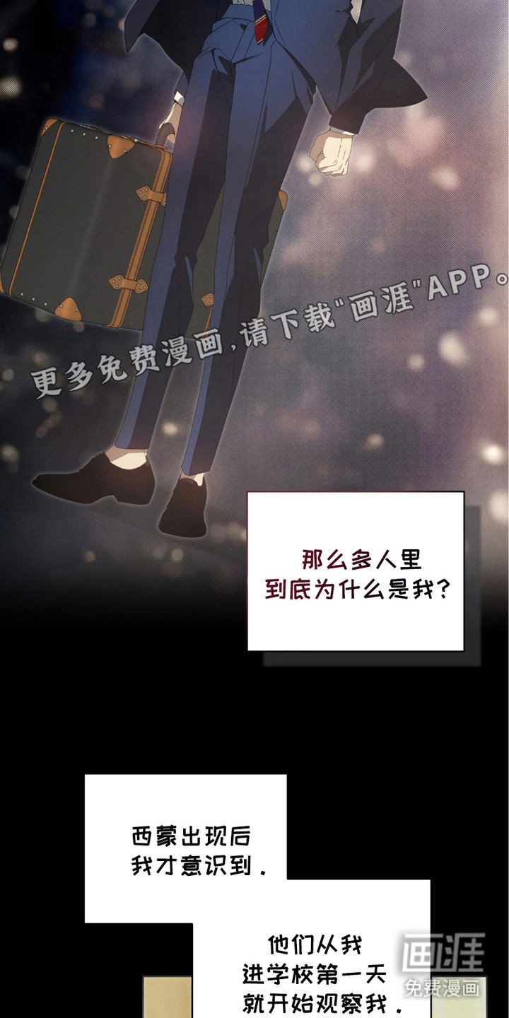 第13章：疑惑