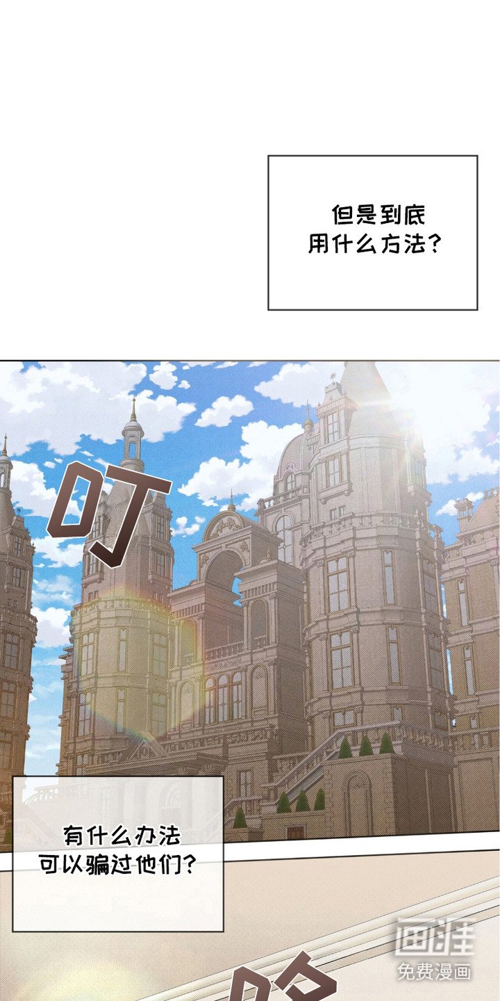 第18章：照片