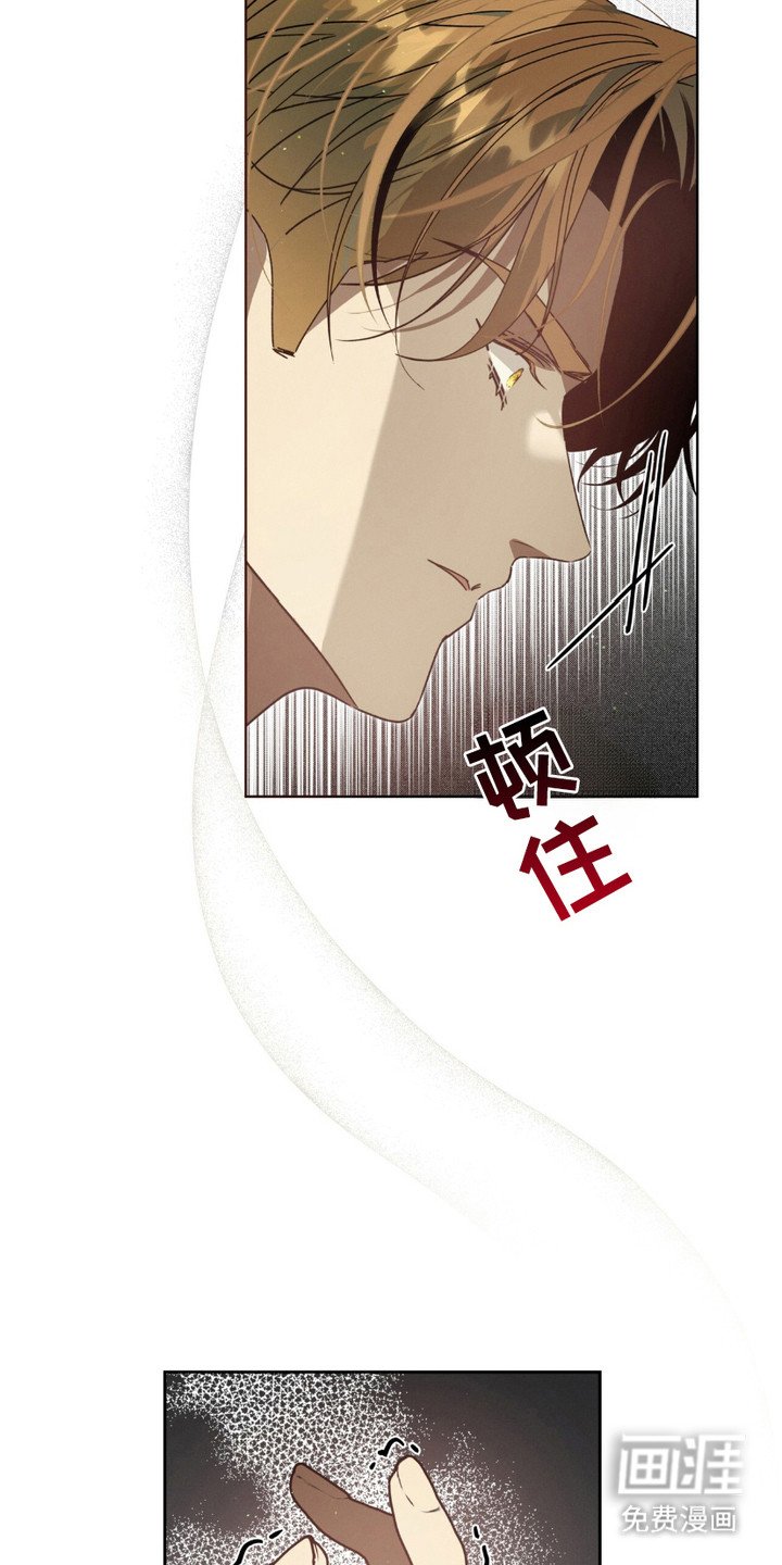 第18章：照片