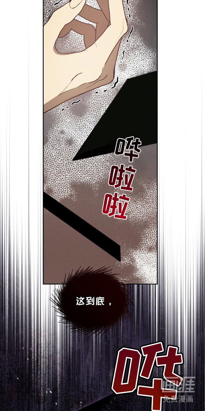第18章：照片