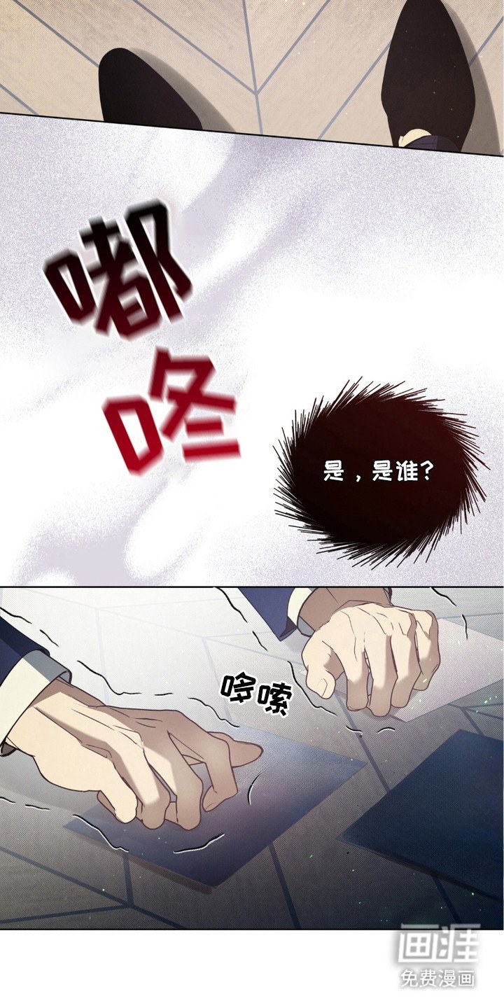 第18章：照片