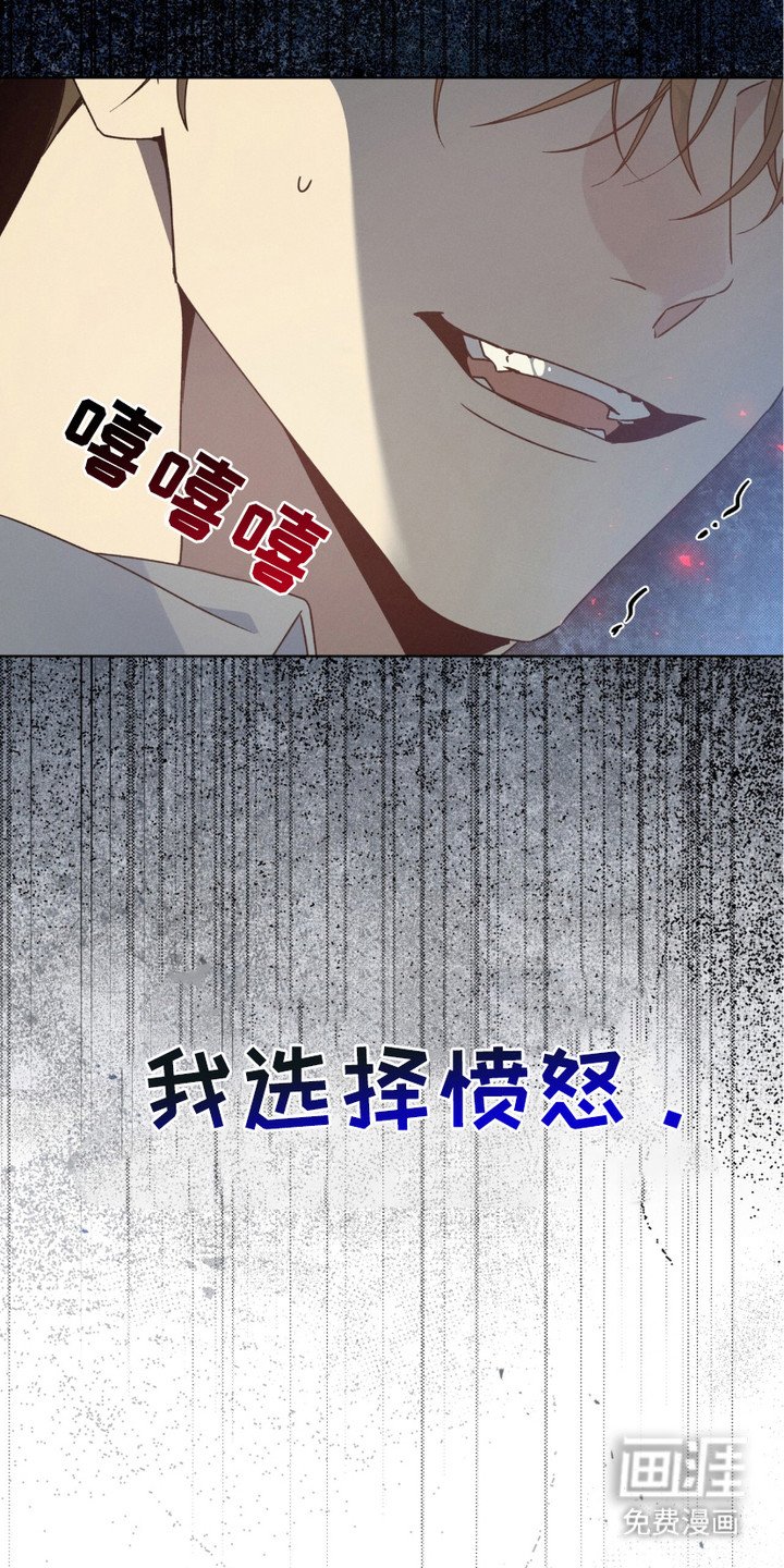 第18章：照片