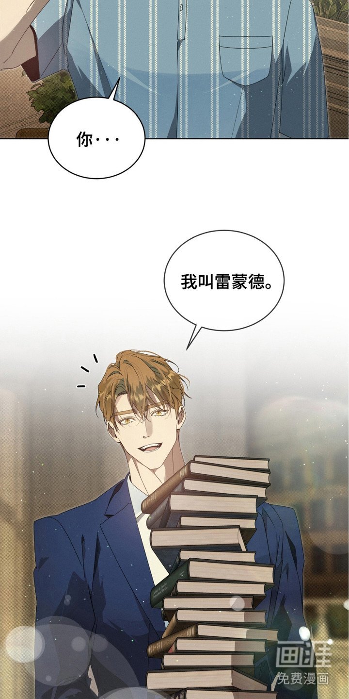 第19章：结论