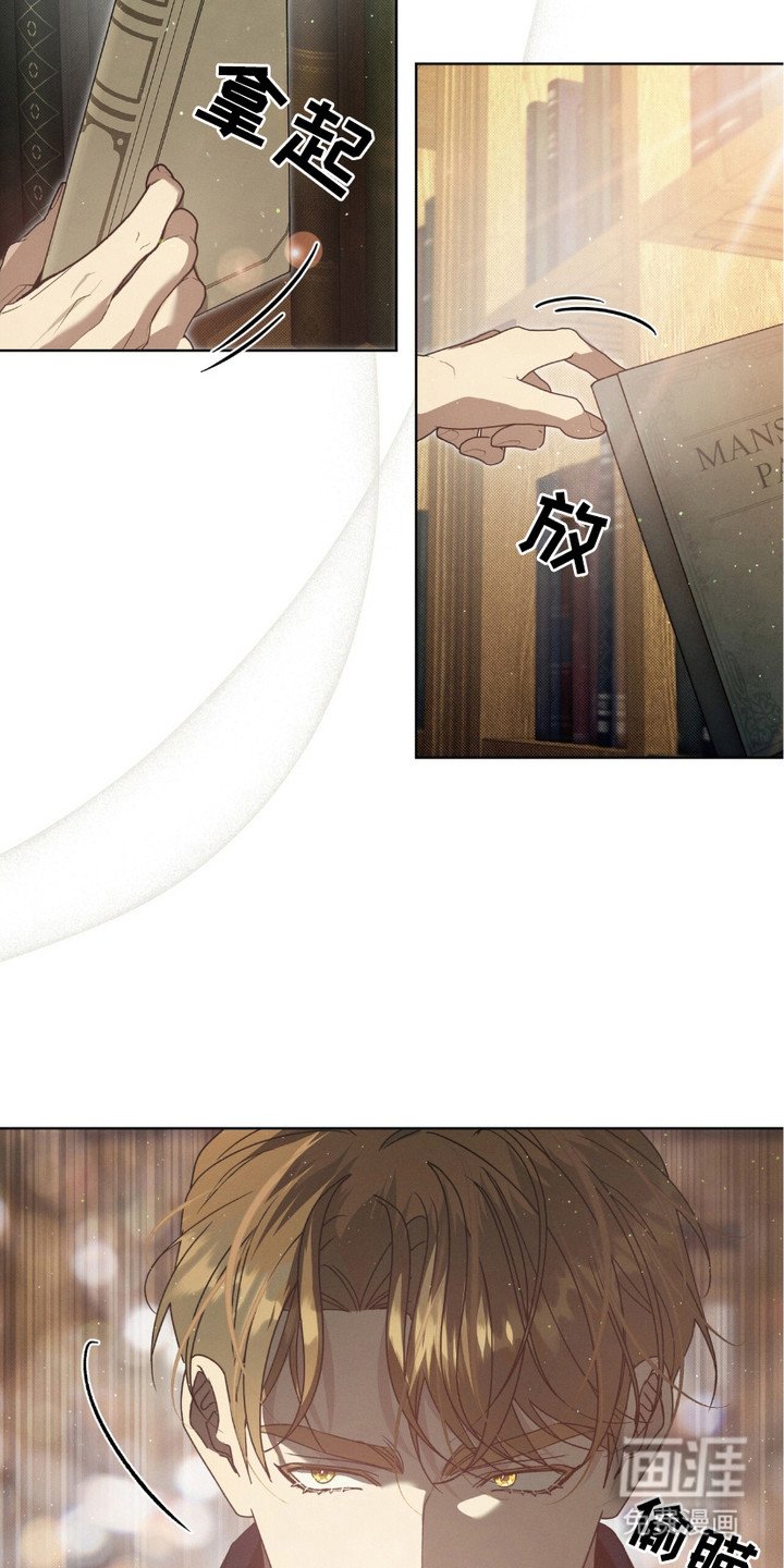 第19章：结论
