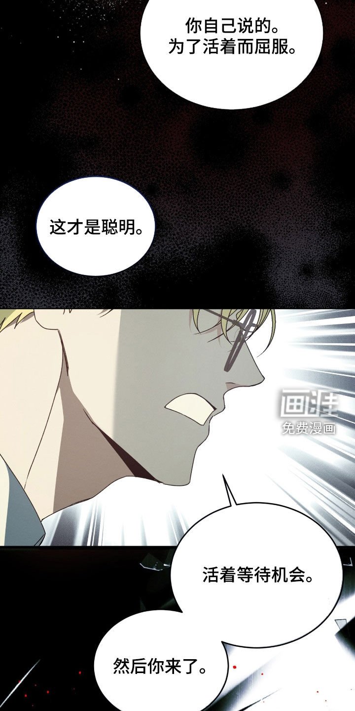 第31章：等待机会