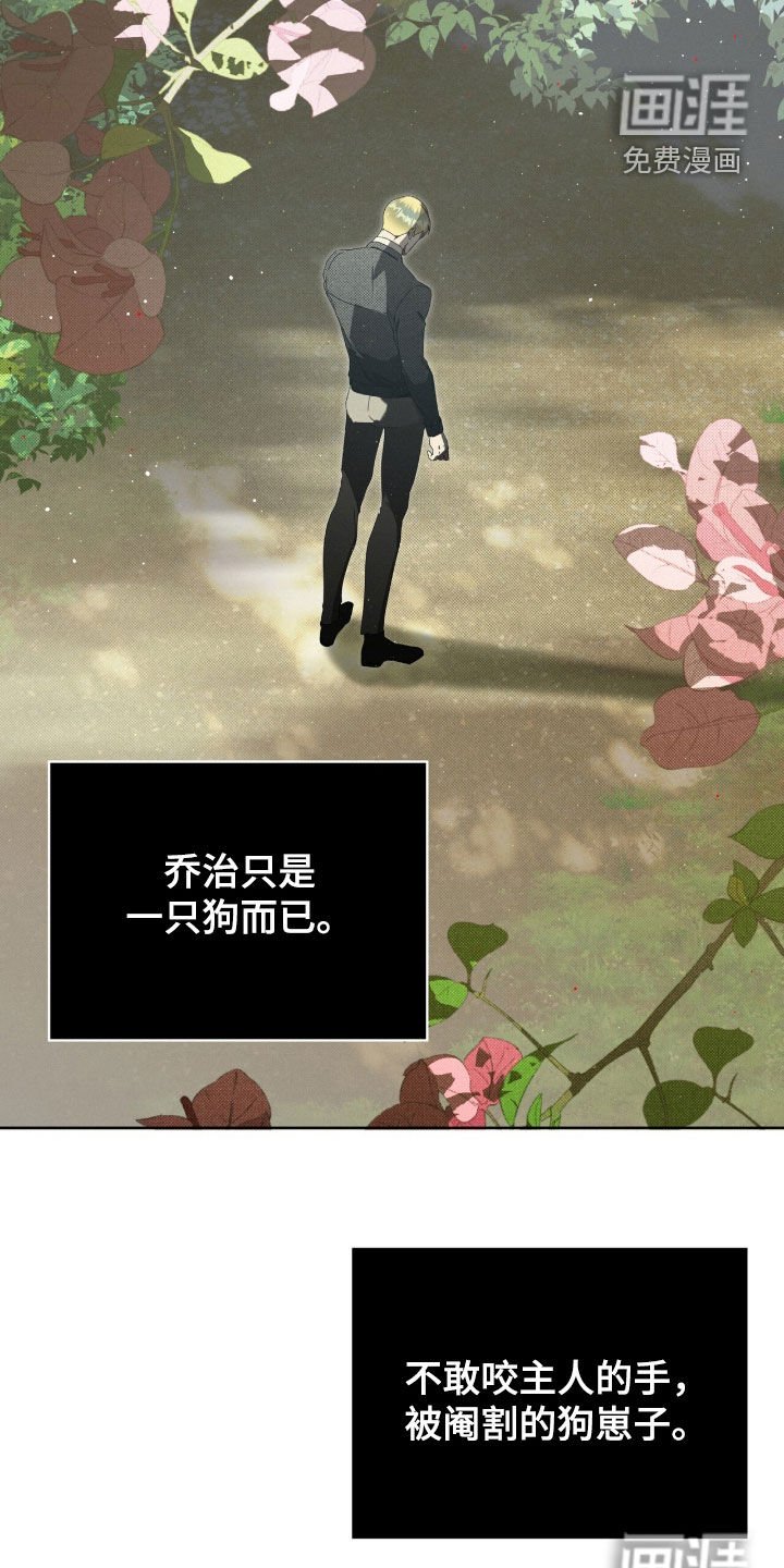 第36章：只是一只狗