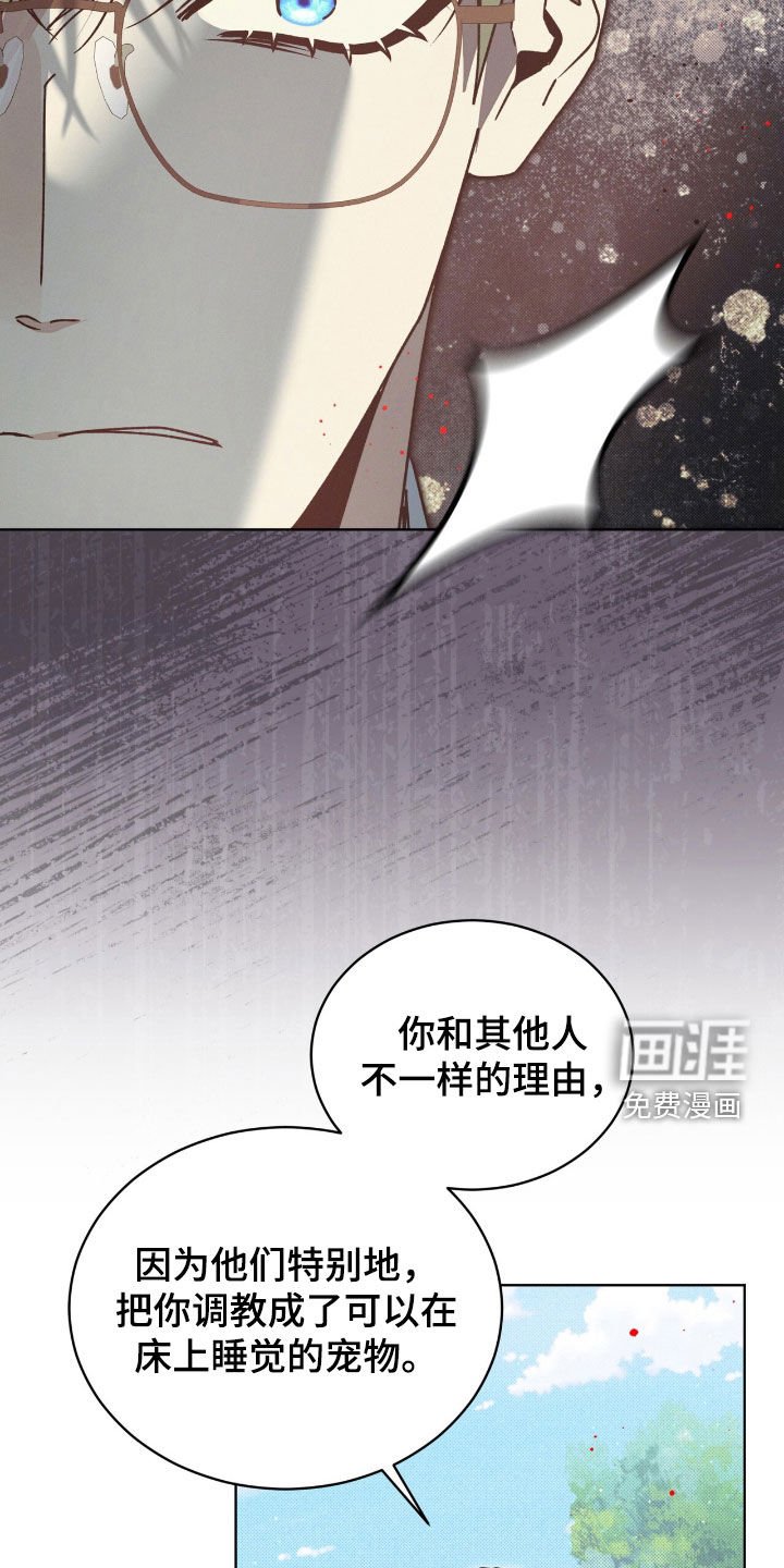 第37章：弱点