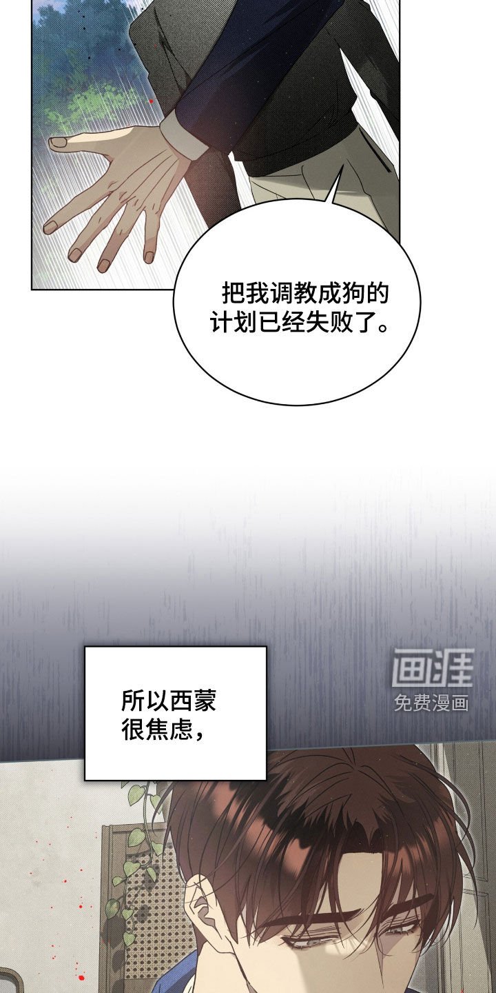 第37章：弱点