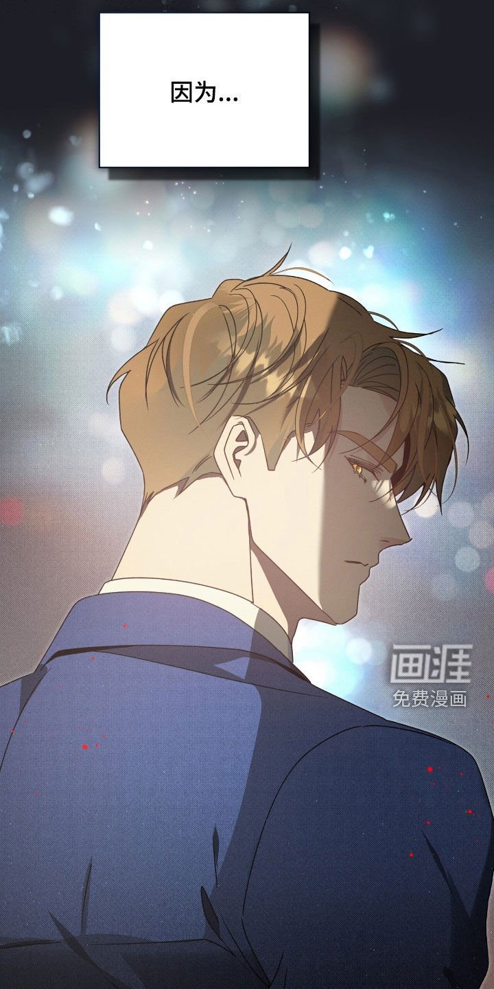 第37章：弱点