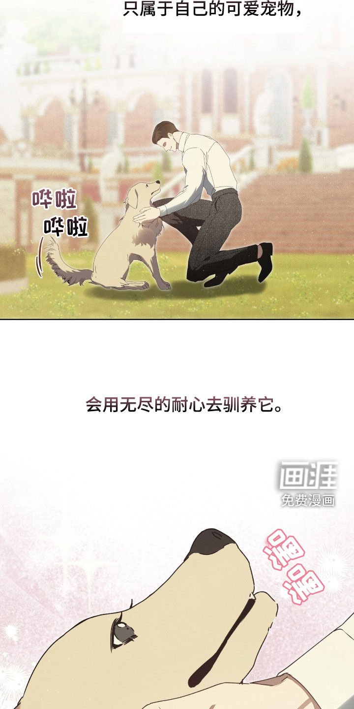 第37章：弱点