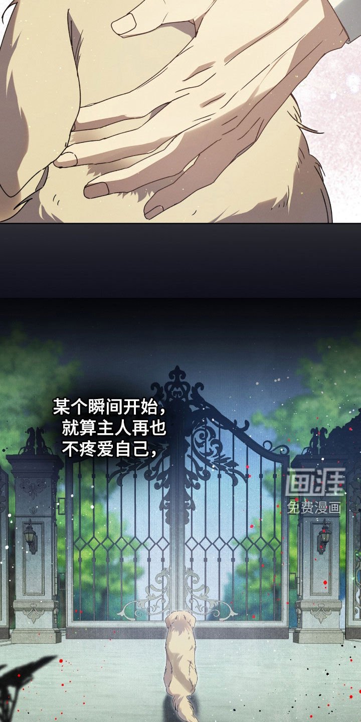第37章：弱点