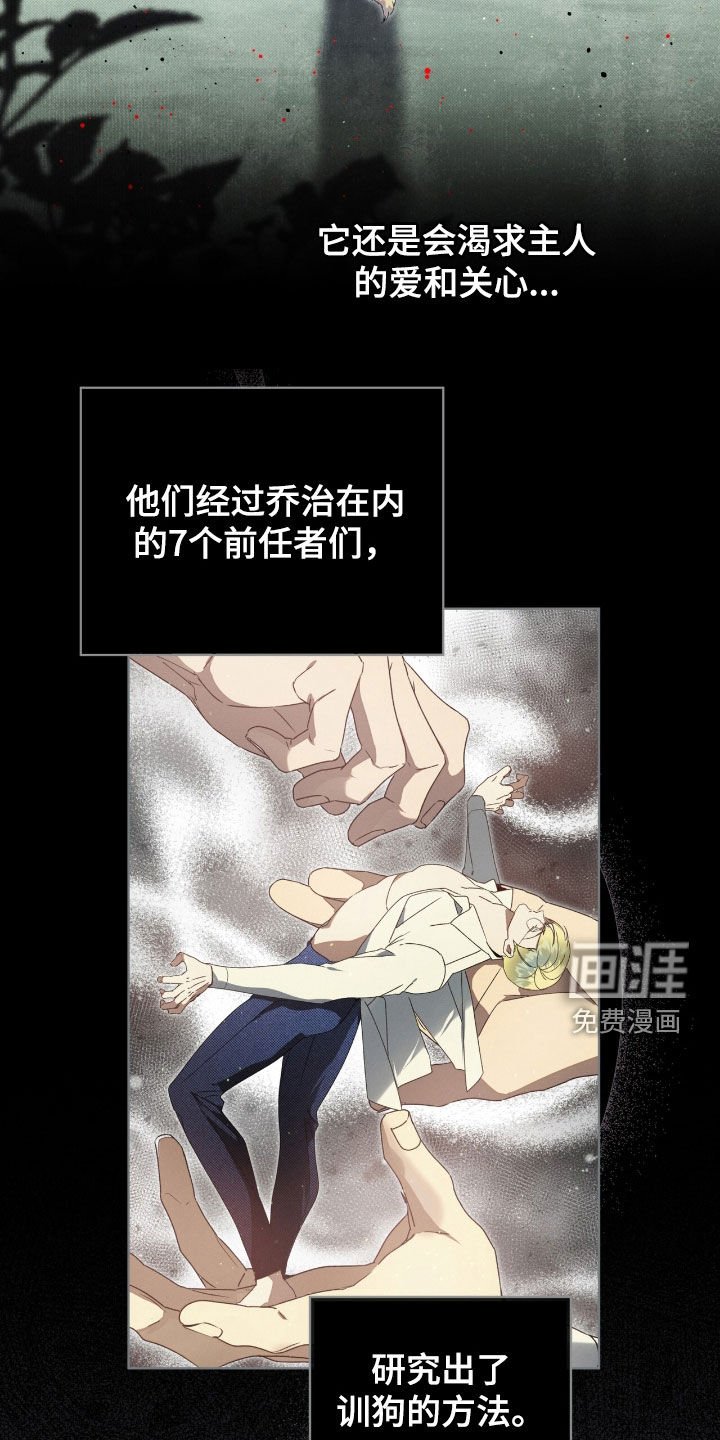 第37章：弱点