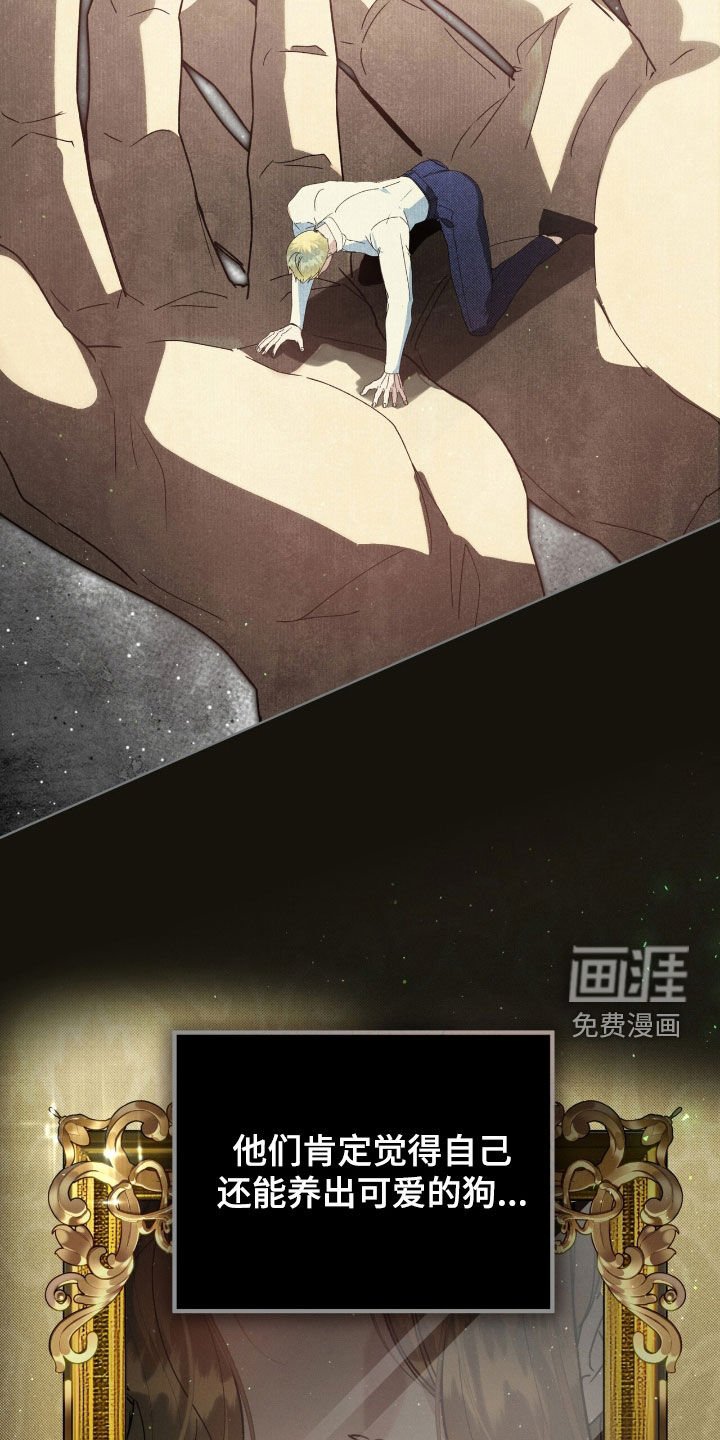 第37章：弱点