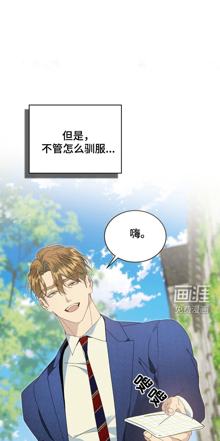 第37章：弱点