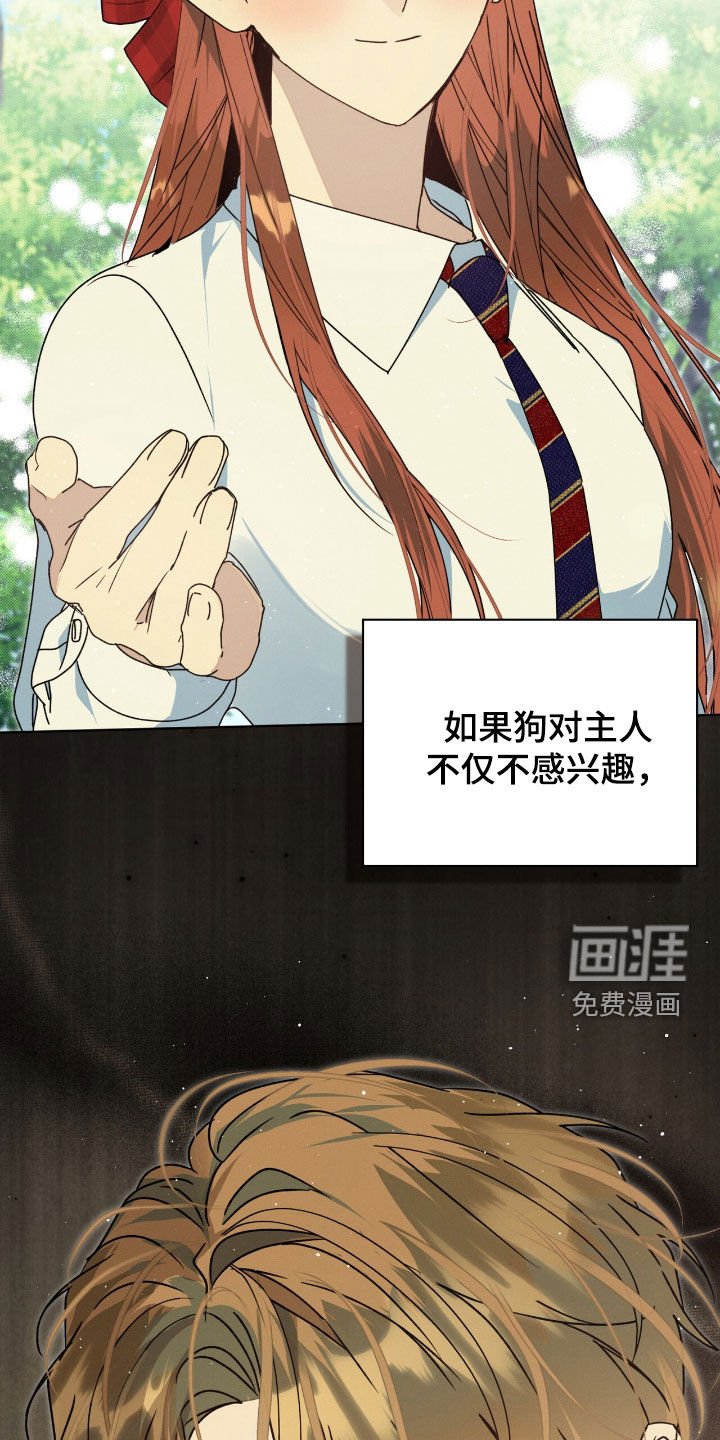 第37章：弱点