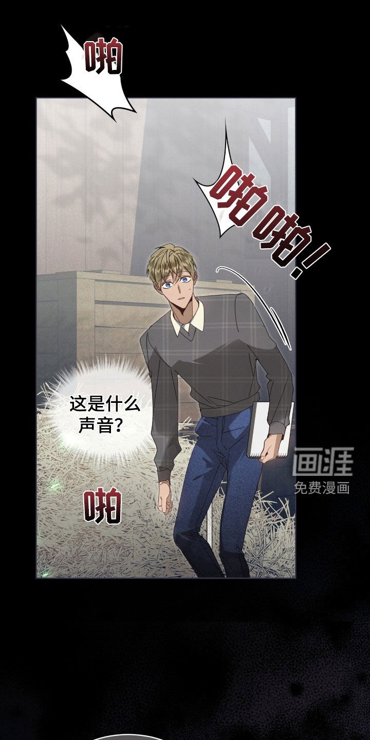 第44章：真与假