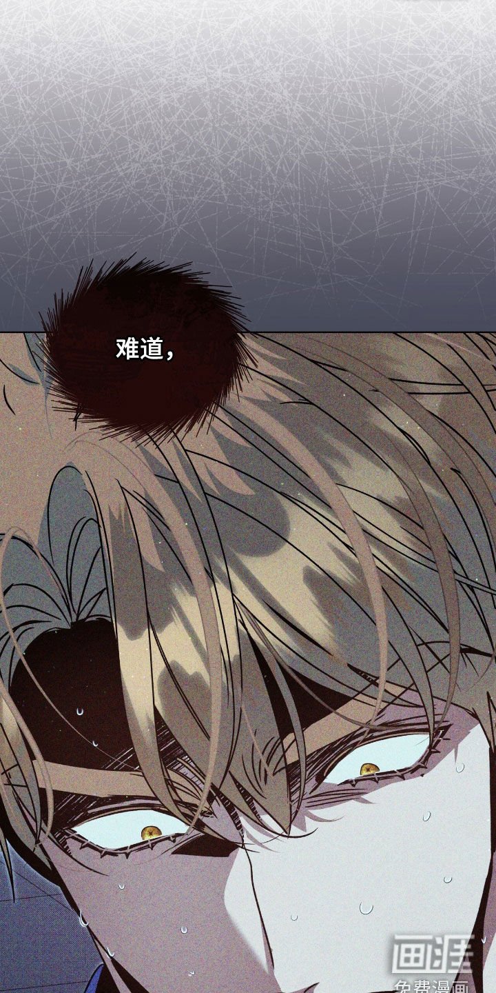 第44章：真与假