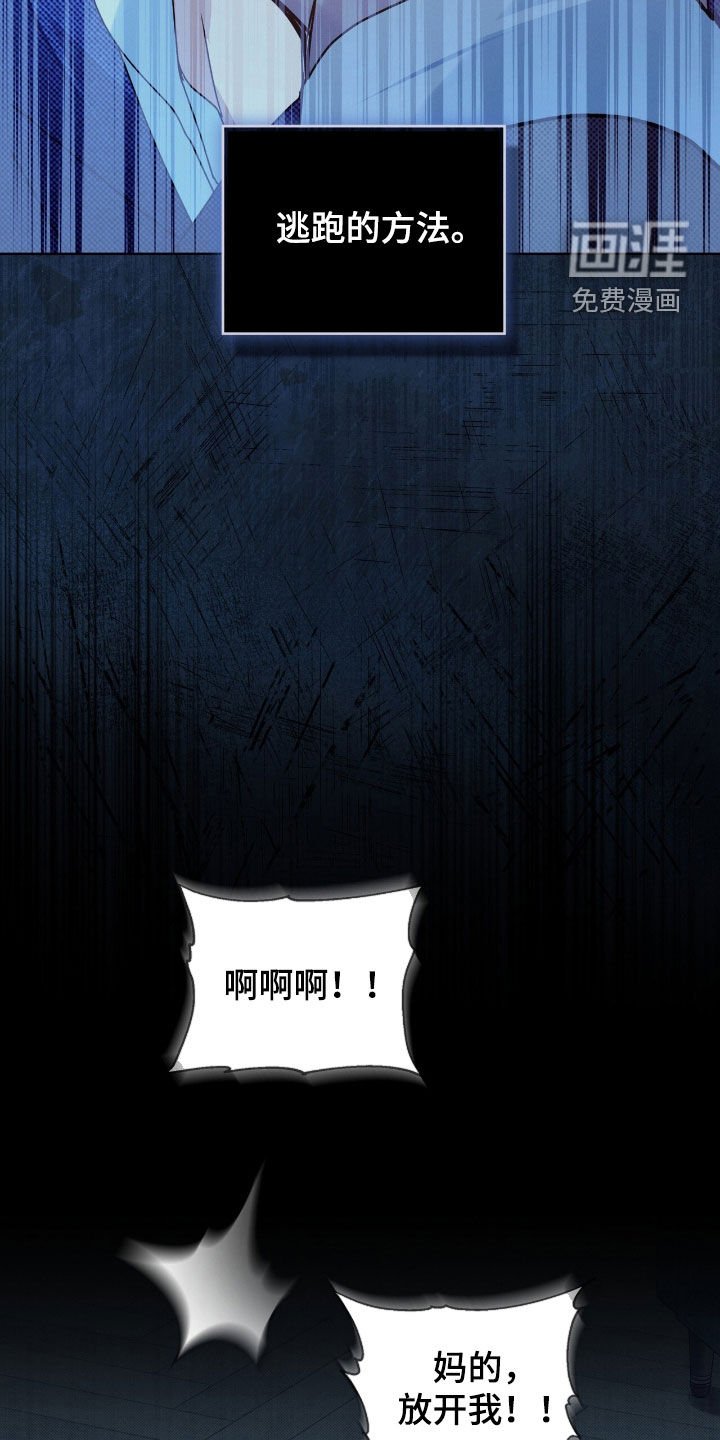 第53章：陷阱