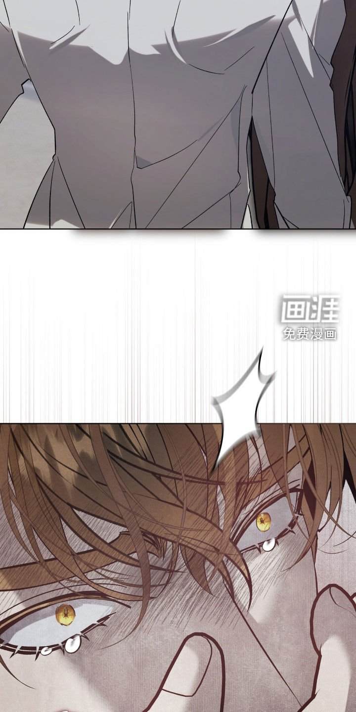 第62章：【第二季】你错了
