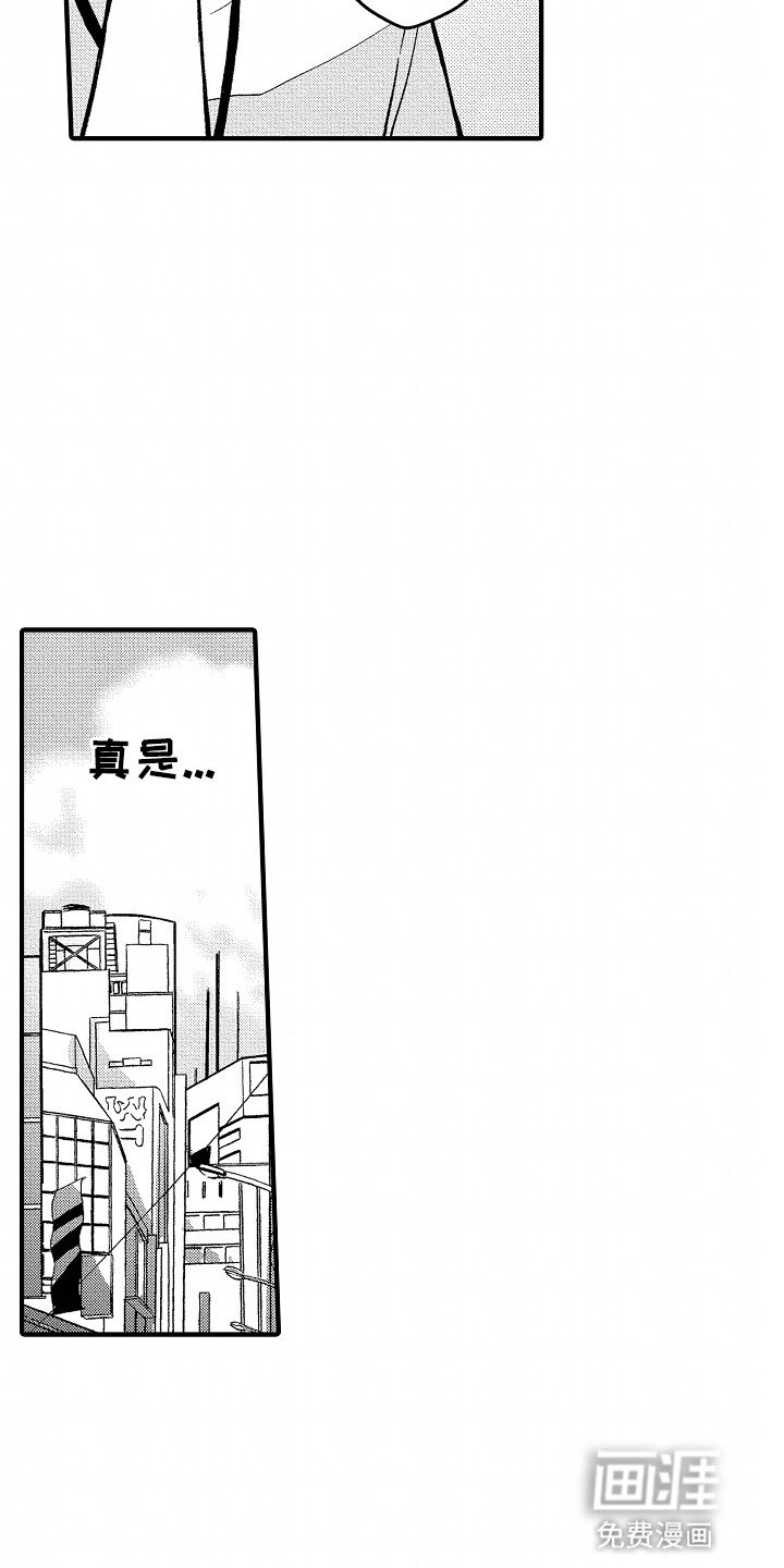 第17章：下一本小说