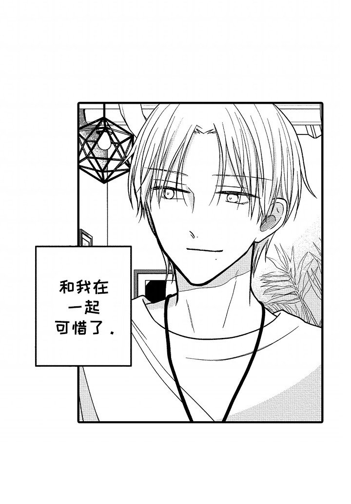 第17章：下一本小说