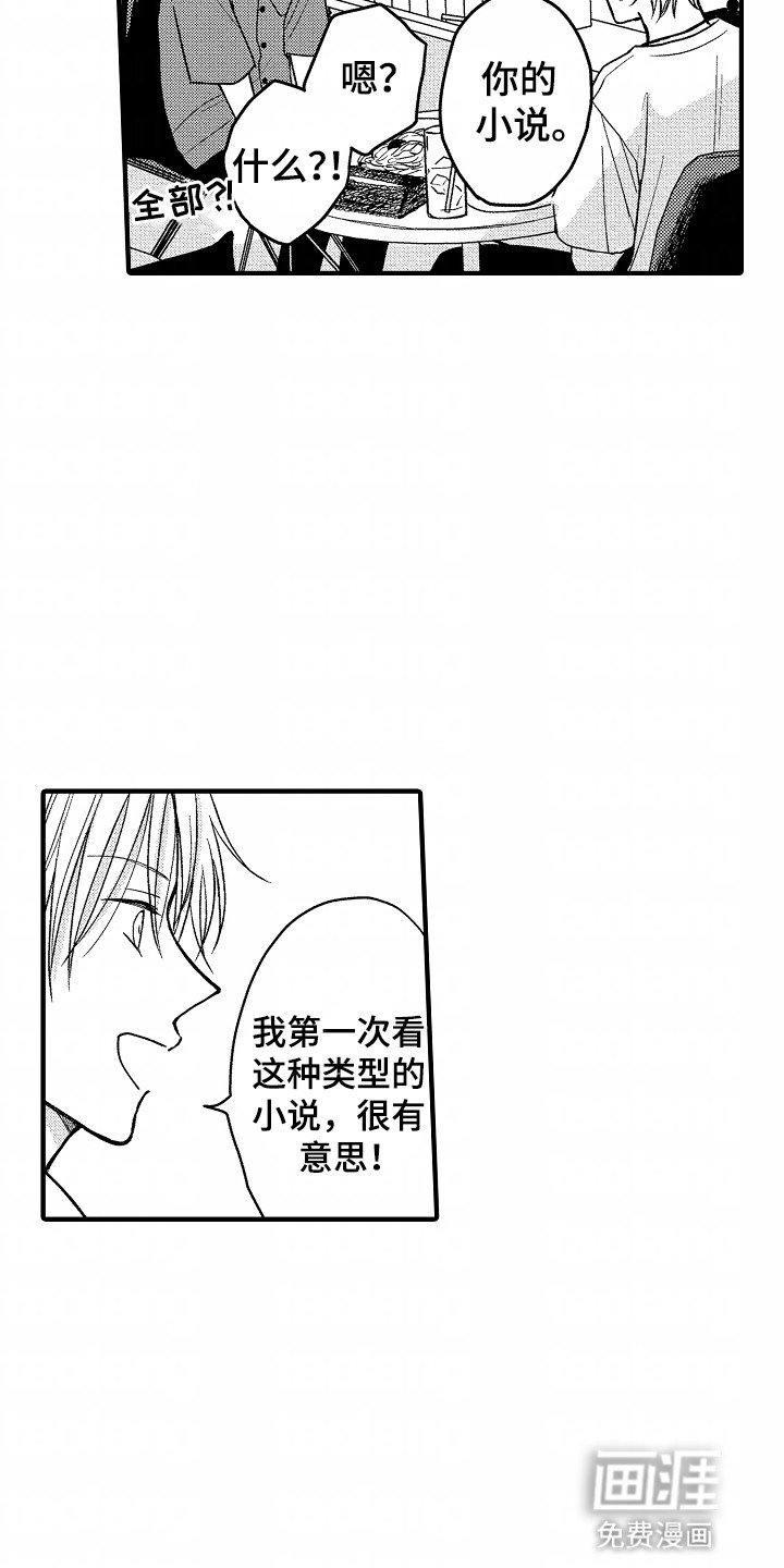 第17章：下一本小说