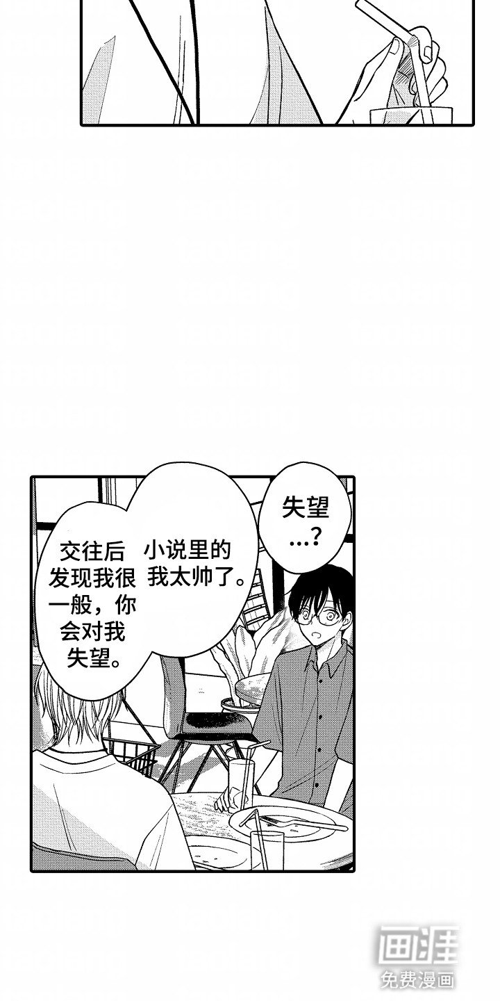 第17章：下一本小说