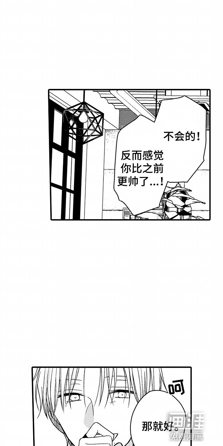 第17章：下一本小说