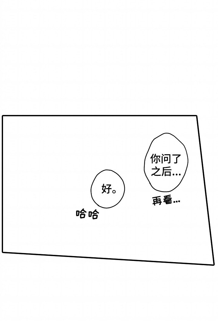 第17章：下一本小说