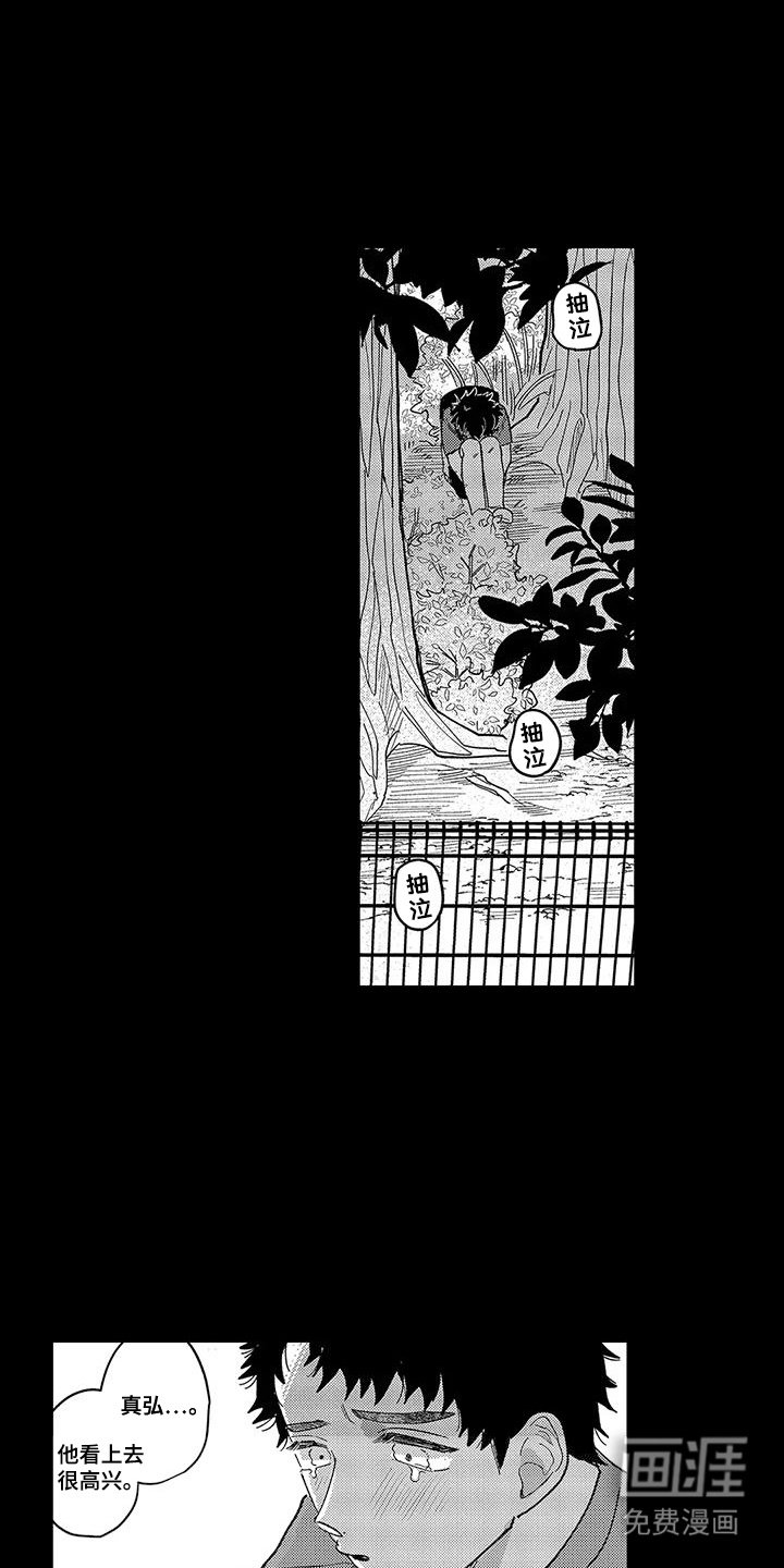 第17章：想要守护