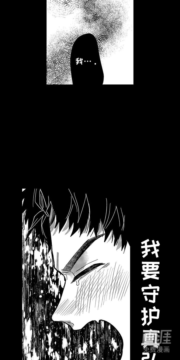 第17章：想要守护