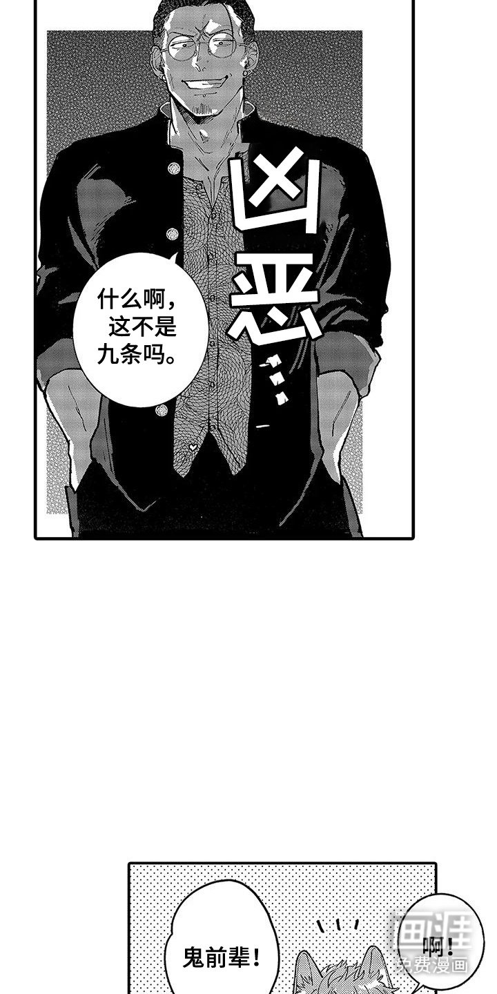 第5章：表白