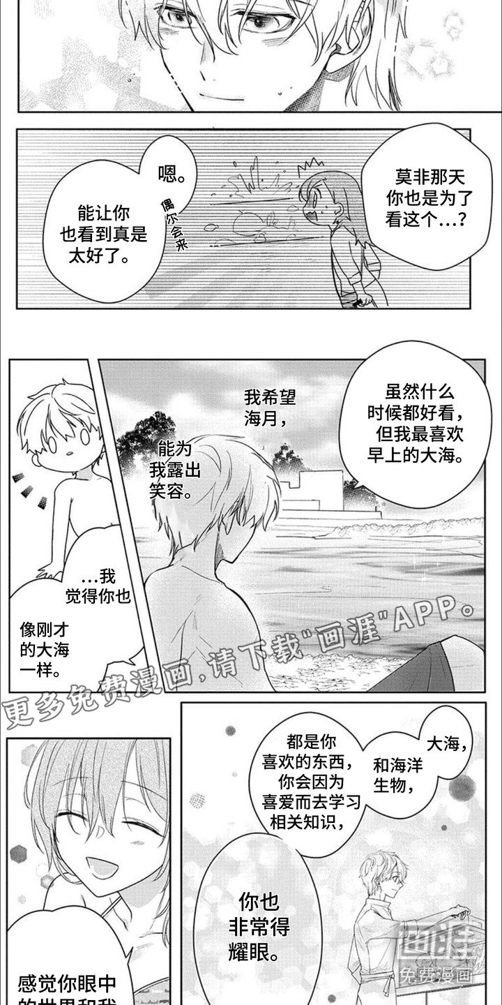 第8章：闪闪发光