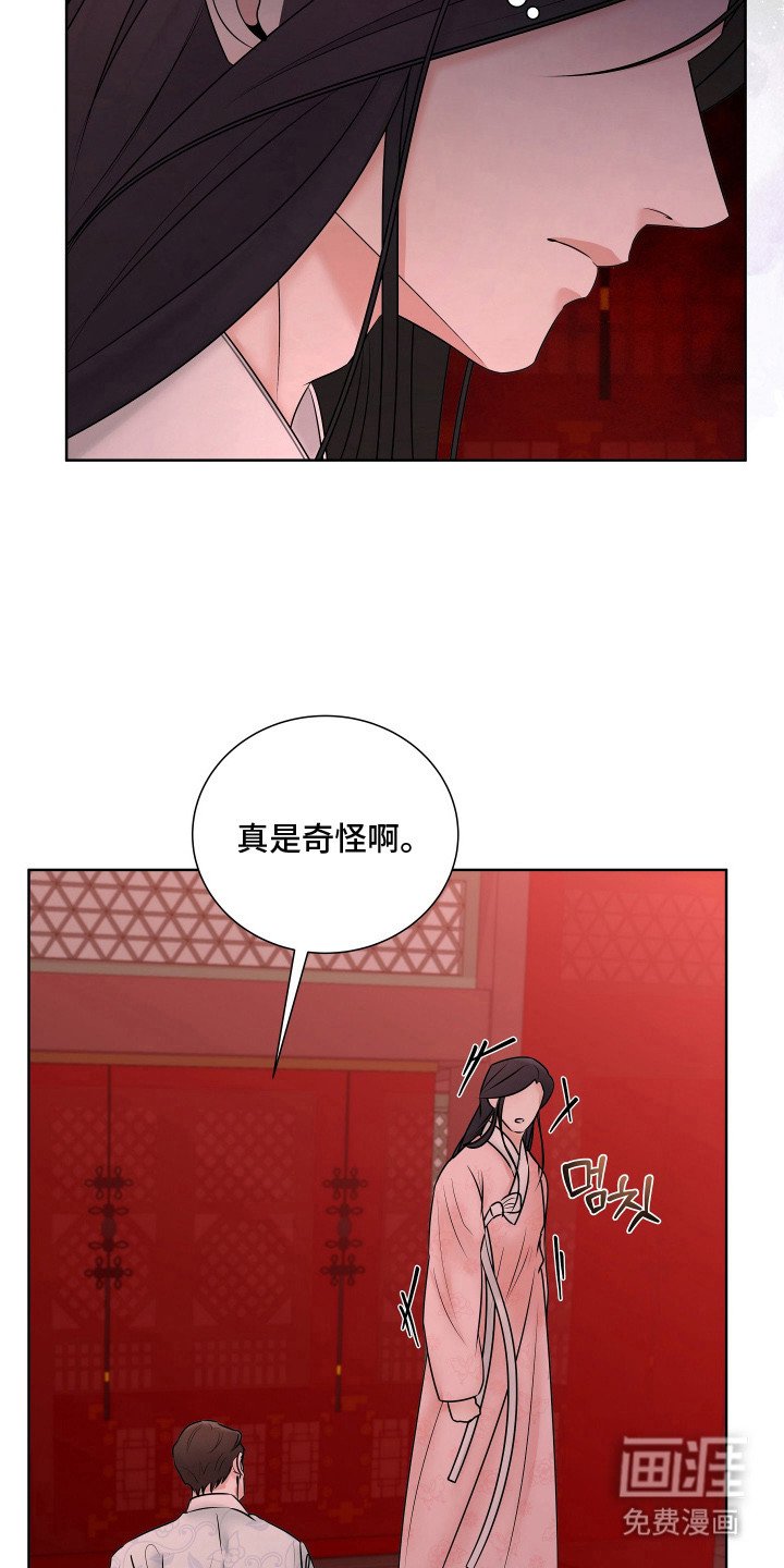 第19章：一丝宽慰