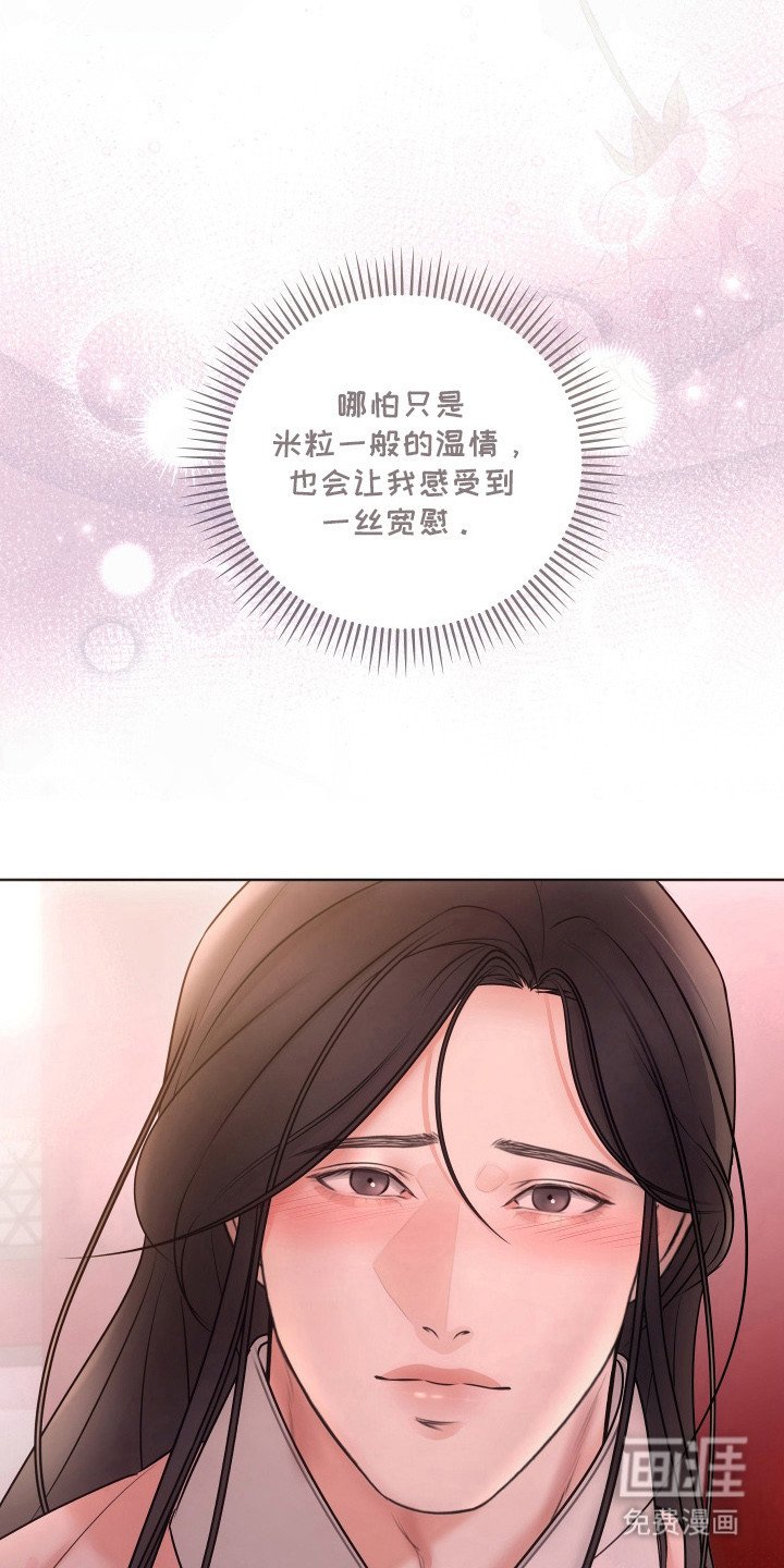 第19章：一丝宽慰