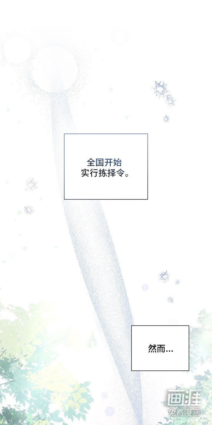 第2章：婚礼