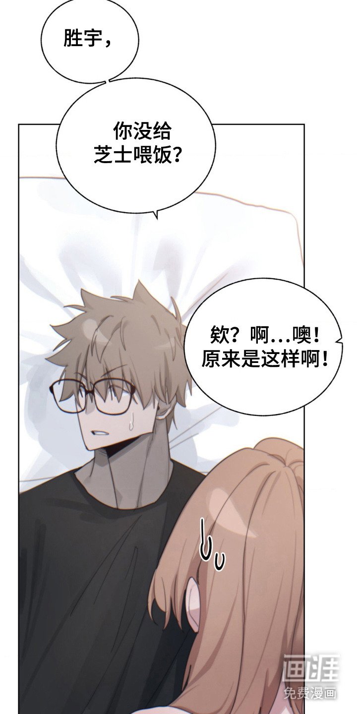 第10章：婉拒