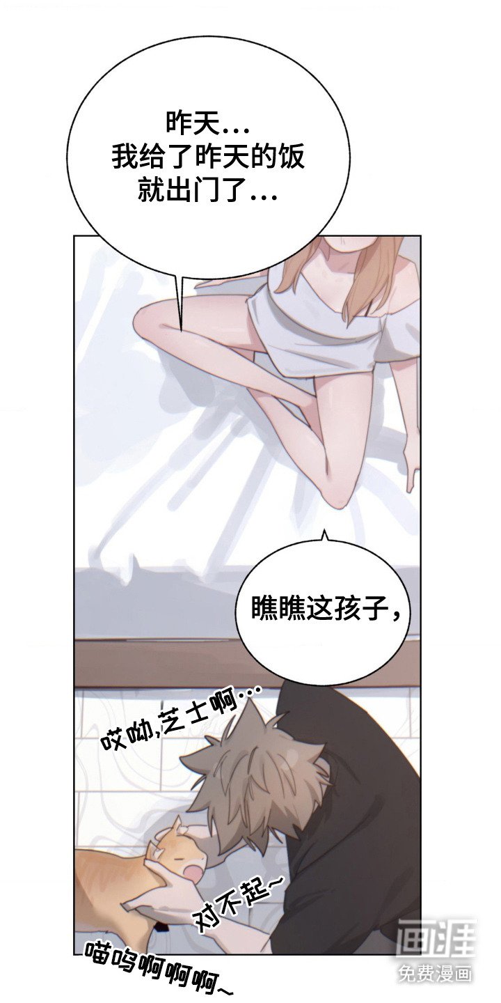 第10章：婉拒