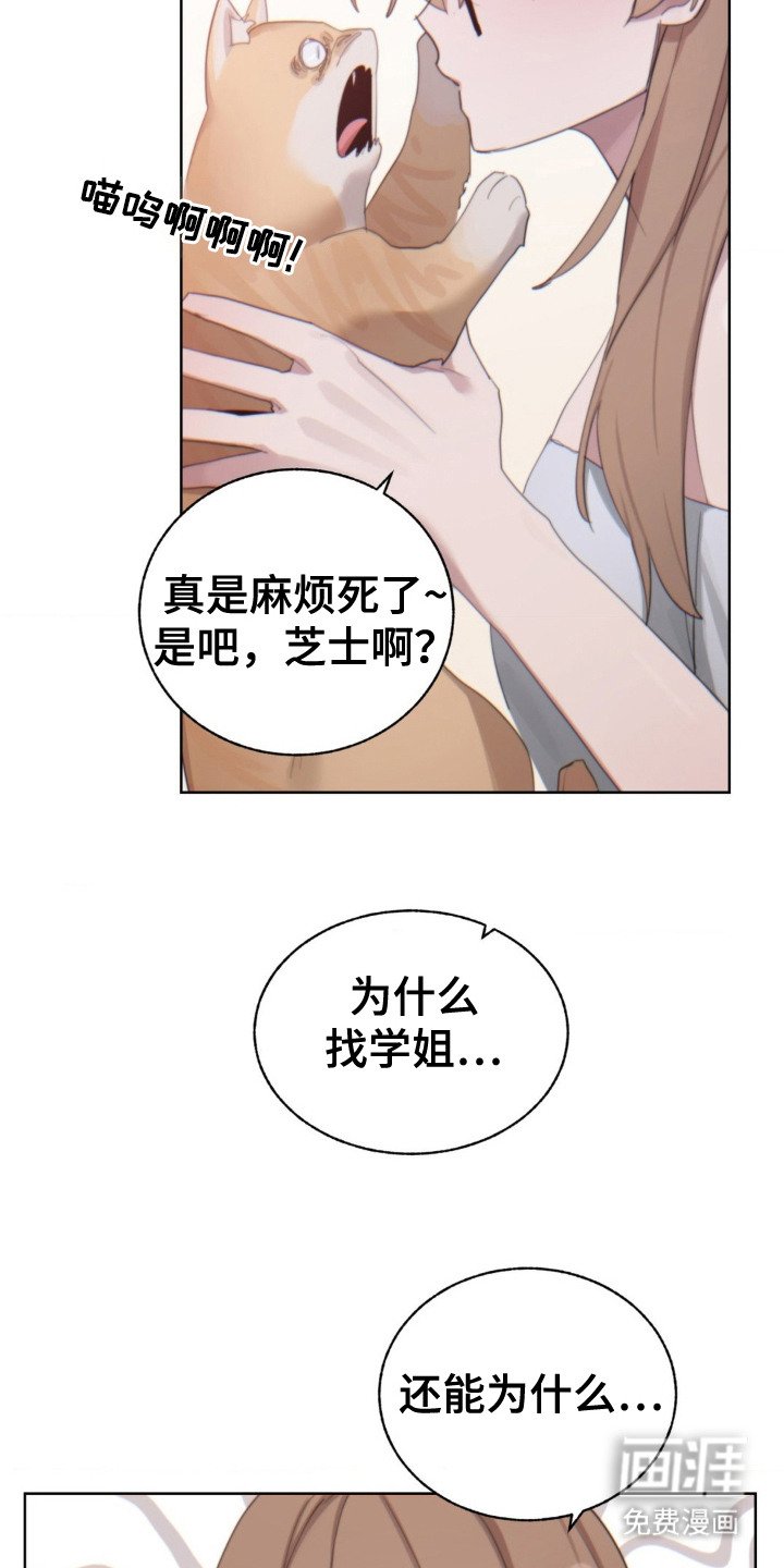 第11章：苦恼