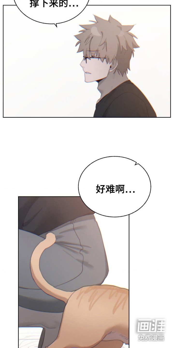 第11章：苦恼