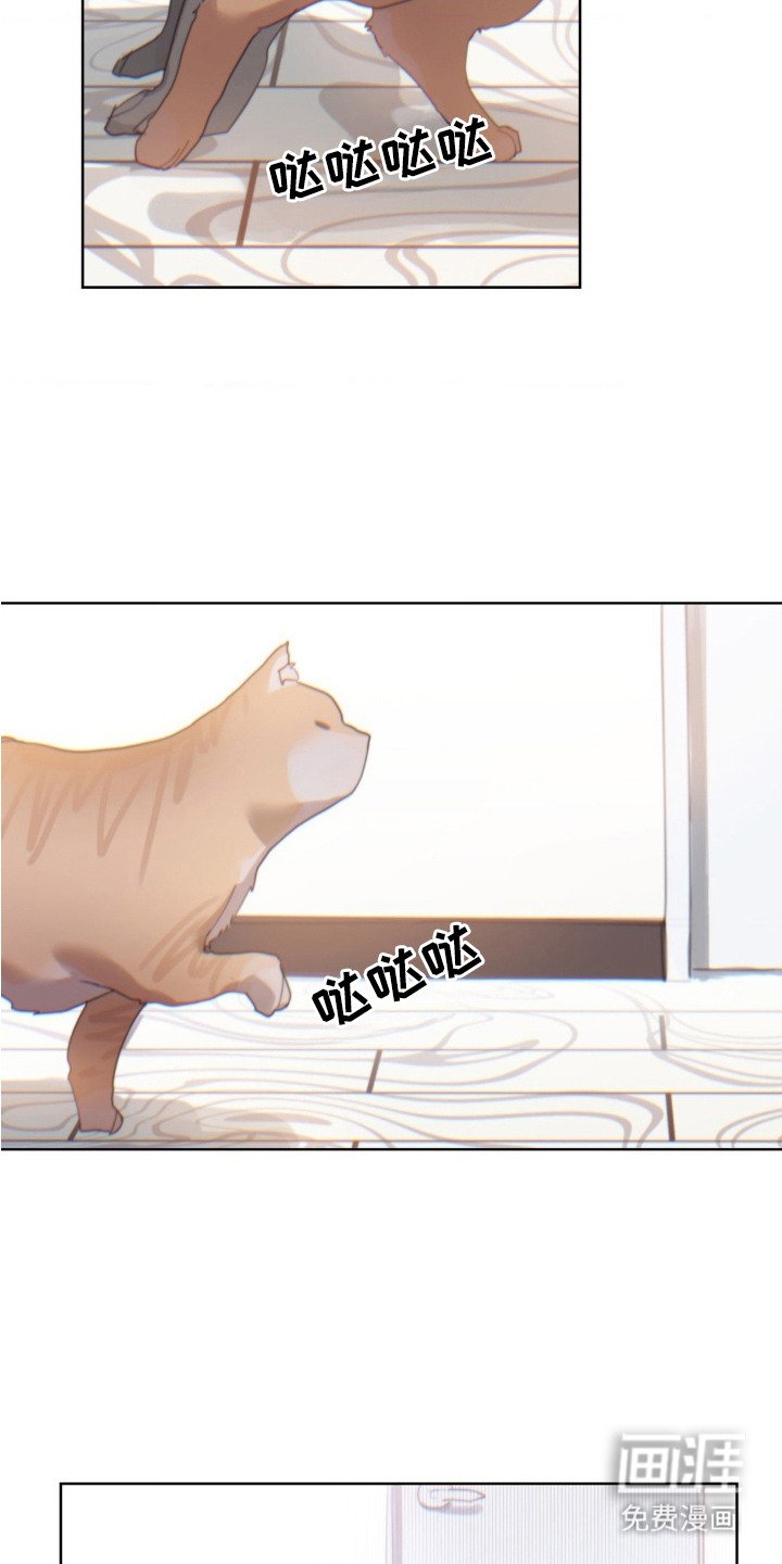 第11章：苦恼