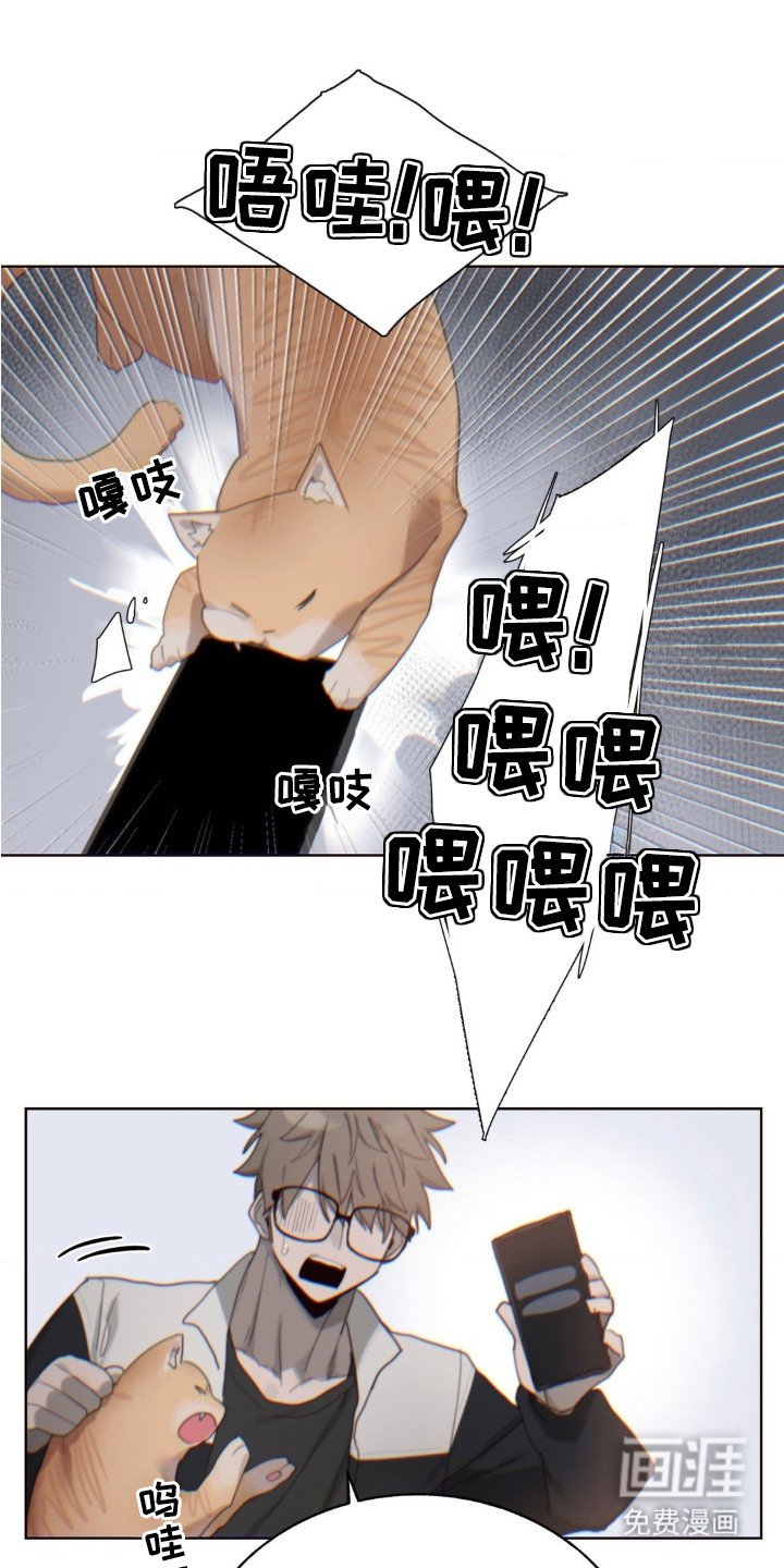 第12章：未接来电