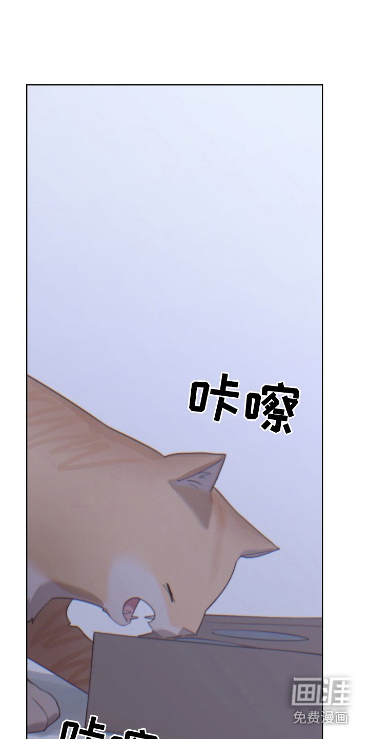 第19章：想念
