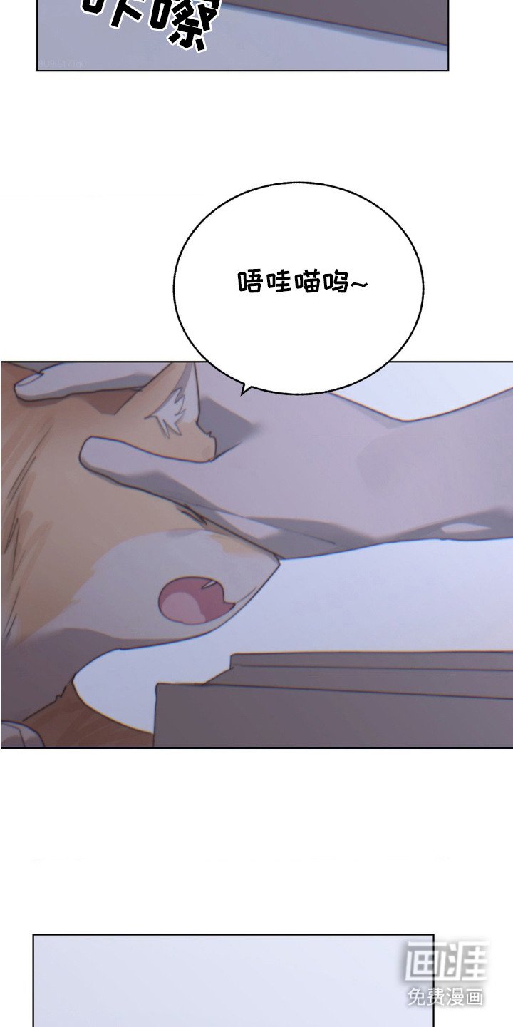 第19章：想念